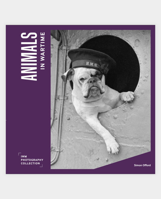 Animals in Wartime - IWM Photo Collection