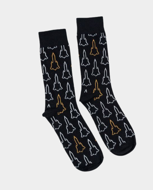 Blackbird Blueprint Socks