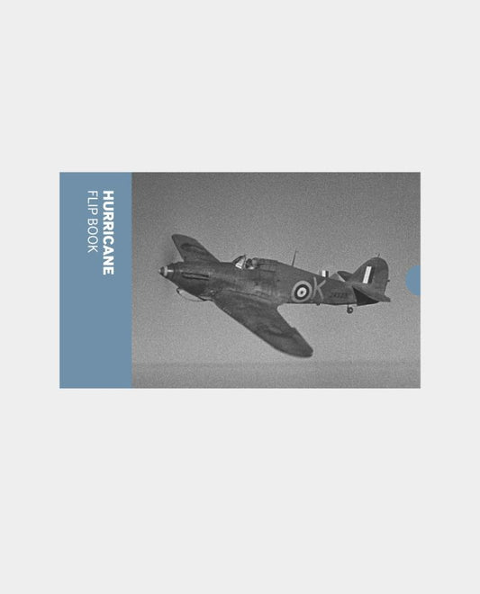 Hurricane (Flip Book)