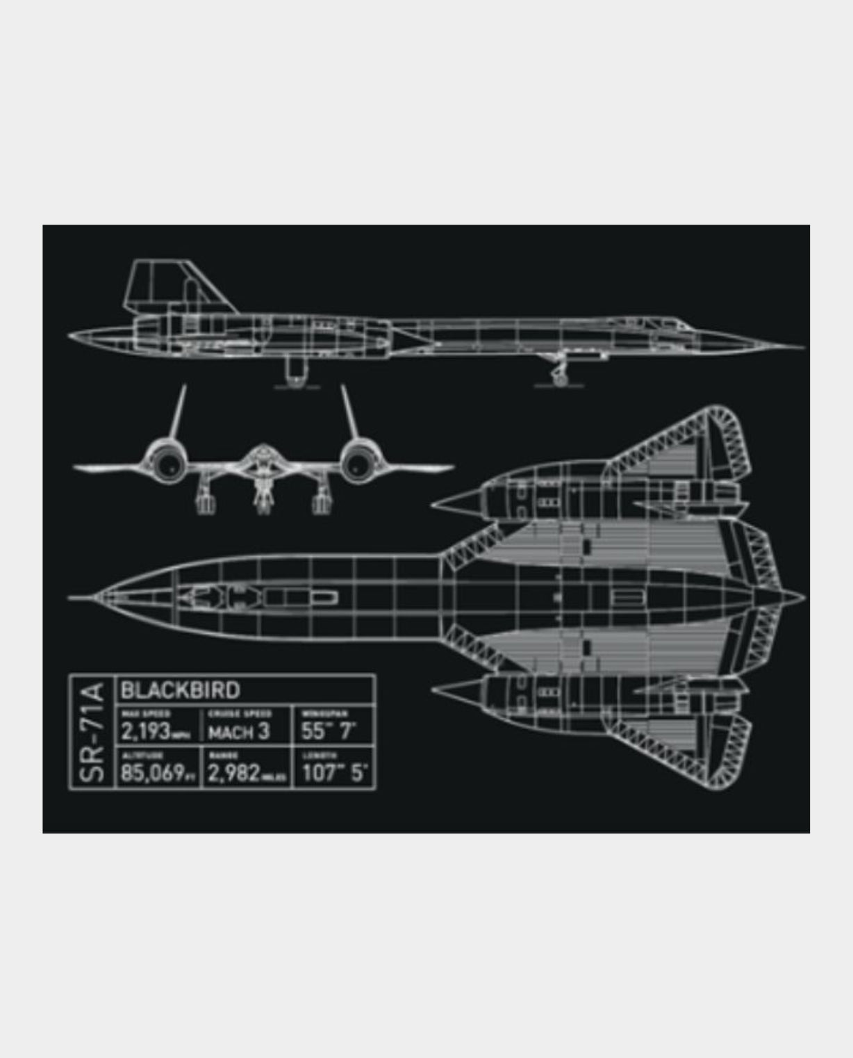 Blackbird Blueprint Poster
