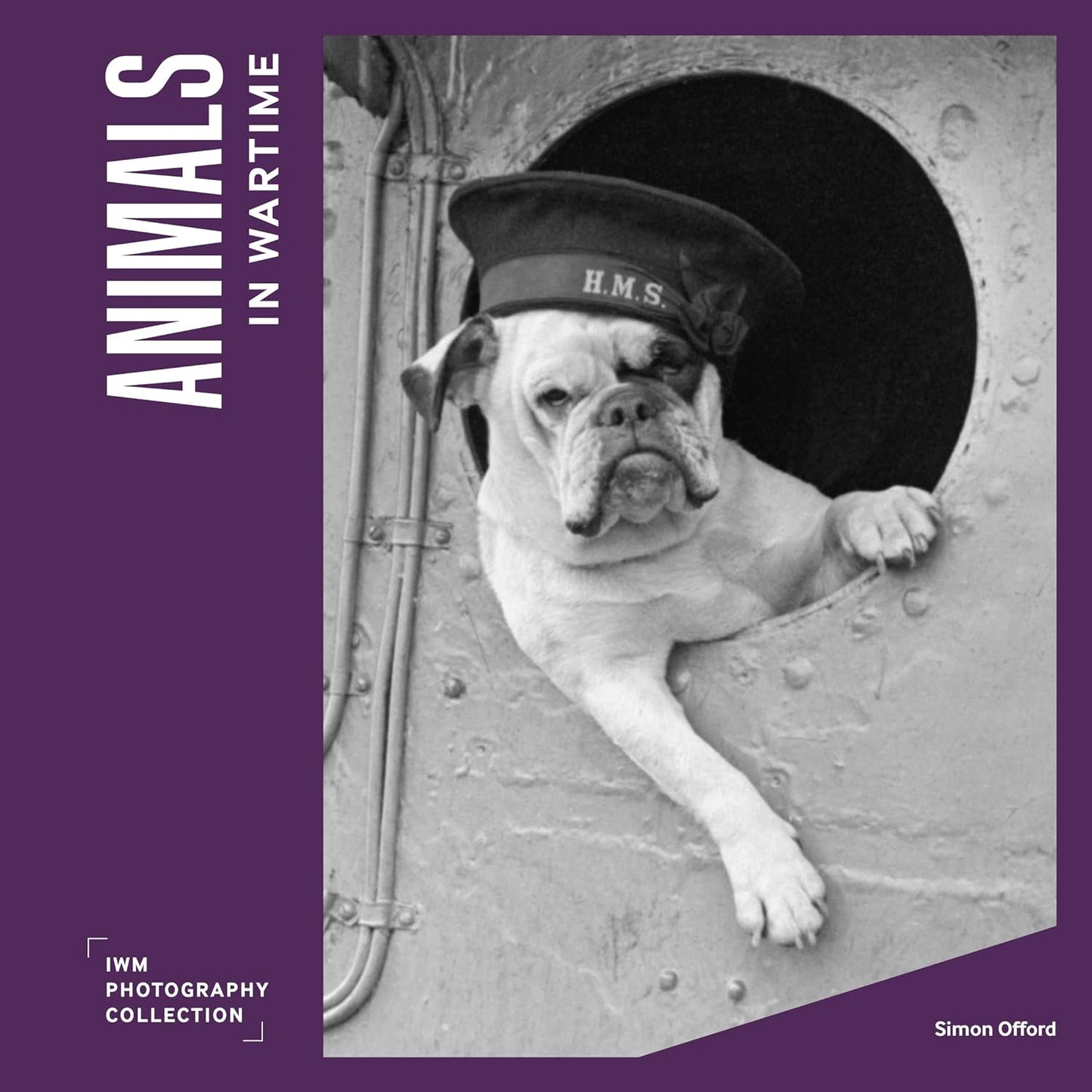 Animals in Wartime - IWM Photo Collection