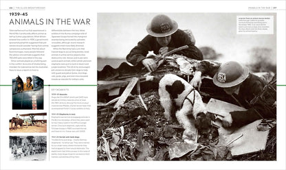 Timelines of World War II