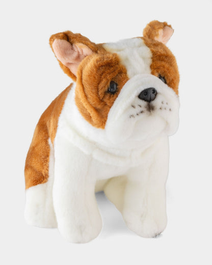 Bulldog Soft Toy