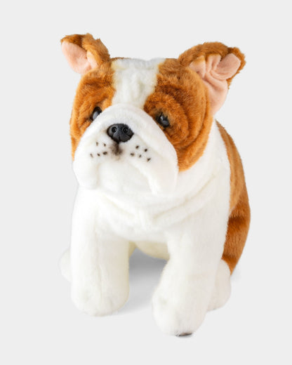 Bulldog Soft Toy