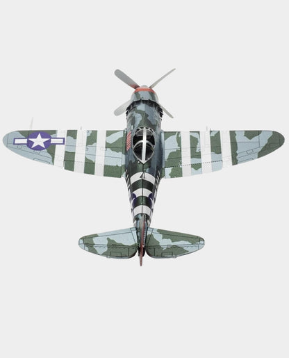 a10 thunderbolt model​