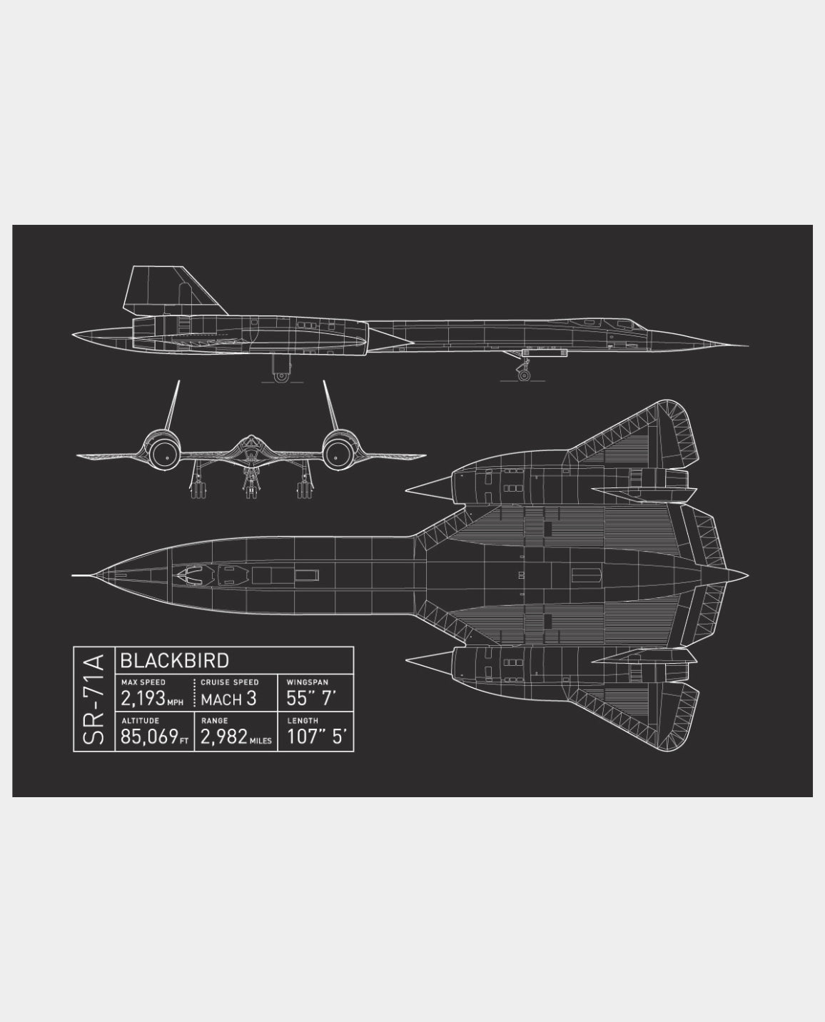 Blackbird Print