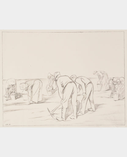 A black and white lithograph of a group of people, both men and women, bent over planting potatoes in the soil.